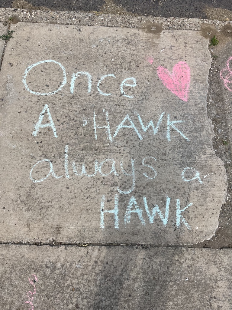 once a hawk always a hawk